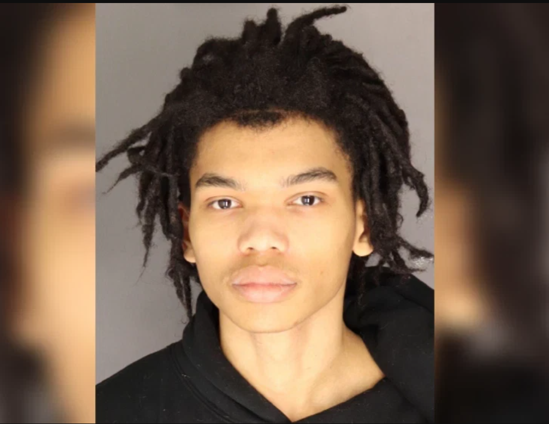 JUST IN: Man Singin Kai Nelson Accused of Torturing Dog, Causing Injuries That Led to Euthanasia: Police.