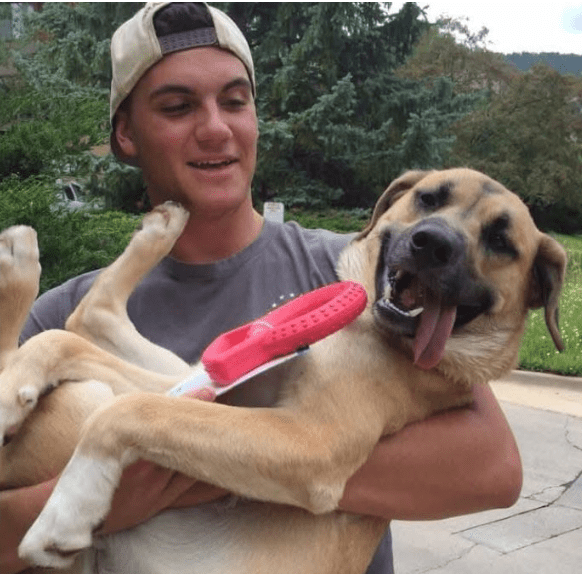 Michigan State University: Senior Finance Student Zach Waltman Reportedly Dies